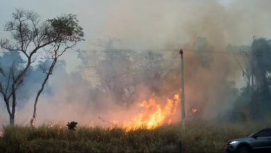 Photo of Queimadas assolam região do Cariri